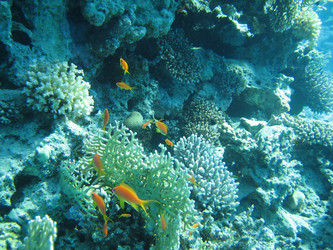 Similar image 144379