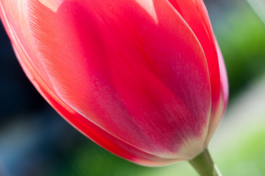 Similar image 144385