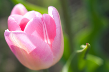 Similar image 144386