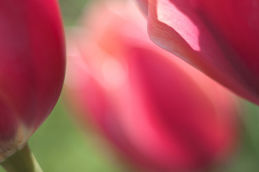 Similar image 144387