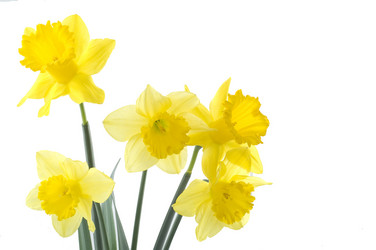 Similar image 144390