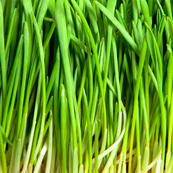 Similar image 144392