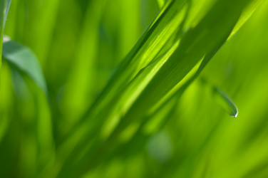 Similar image 144394