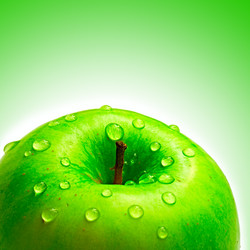 Similar image 144399