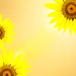 Similar image 144401