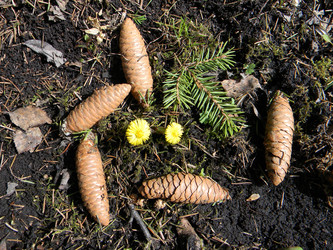 Similar image 144455