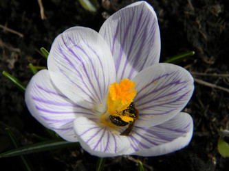 Similar image 144457