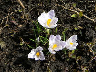 Similar image 144458