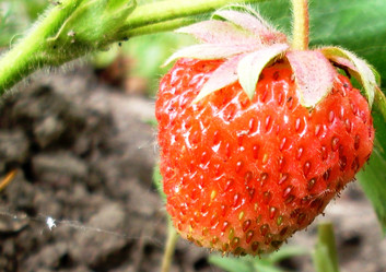 Similar image 144467