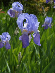 Similar image 144472