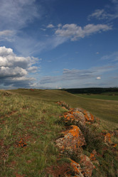 Similar image 144488