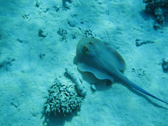 Similar image 144506