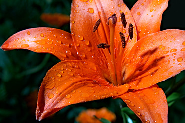 Similar image 144519