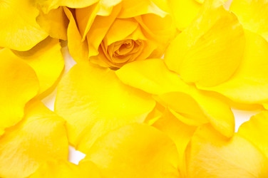 Similar image 144525