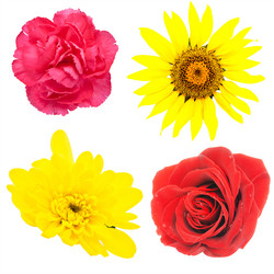 Similar image 144526