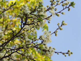 Similar image 144543