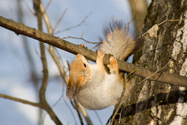 Similar image 144556