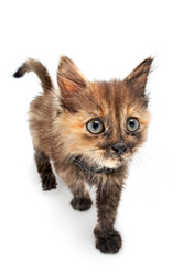 Similar image 144566