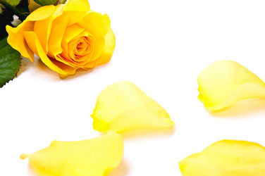 Similar image 144571