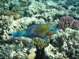 Similar image 144574