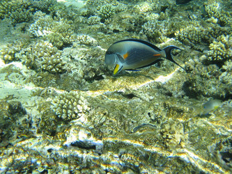 Similar image 144575