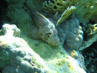 Similar image 144580