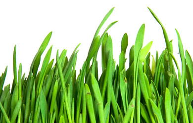 Similar image 144610