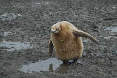 Similar image 144641