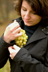 Similar image 144642