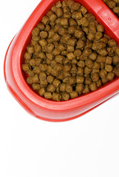 Similar image 144654