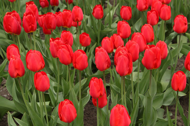 Similar image 144656