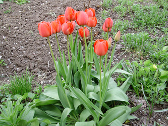 Similar image 144658