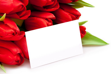 Similar image 144659