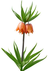 Similar image 144660