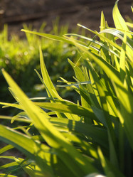 Similar image 144662