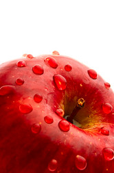 Similar image 144666