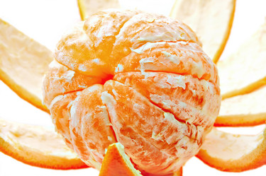 Similar image 144667