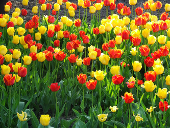 Similar image 144695