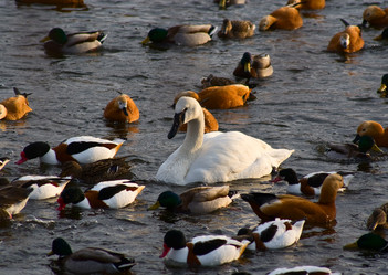 Similar image 144705