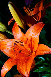 Similar image 144719