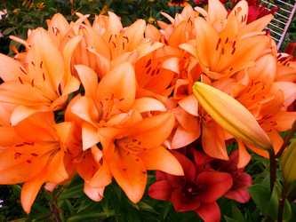 Similar image 144720