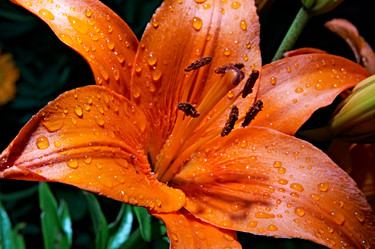 Similar image 144721