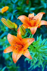 Similar image 144724