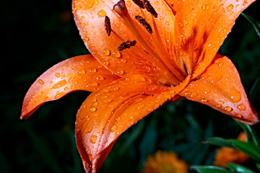 Similar image 144725