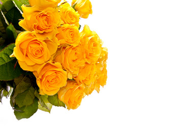 Similar image 144731