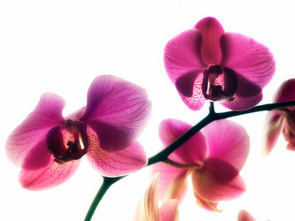 Similar image 144736