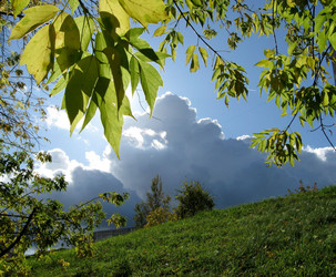 Similar image 144737