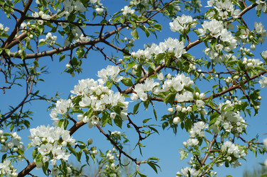 Similar image 144738