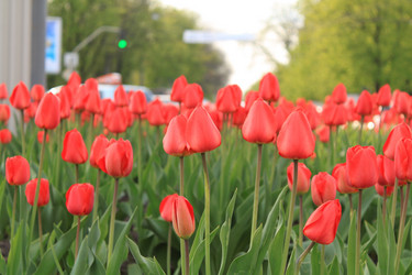 Similar image 144740