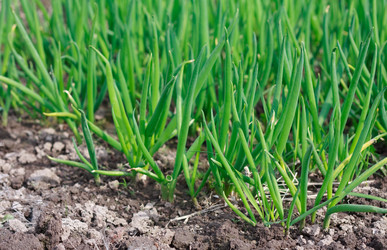 Similar image 144741